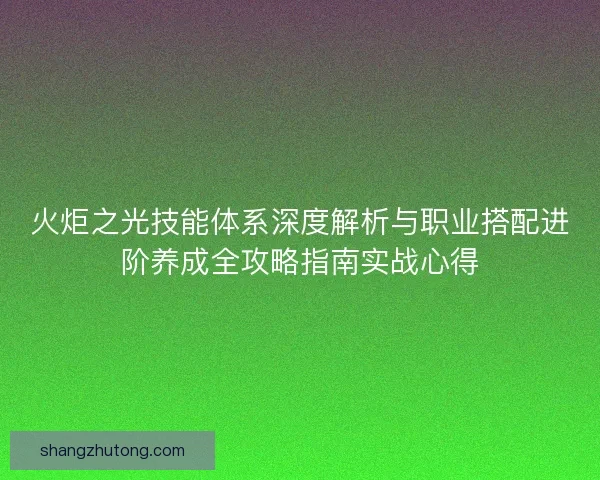 火炬之光技能体系深度解析与职业搭配进阶养成全攻略指南实战心得