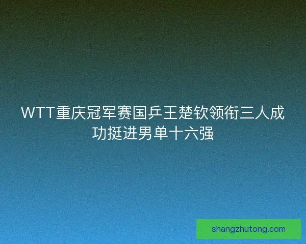 WTT重庆冠军赛国乒王楚钦领衔三人成功挺进男单十六强
