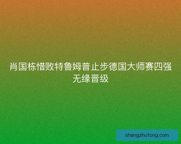 肖国栋惜败特鲁姆普止步德国大师赛四强无缘晋级