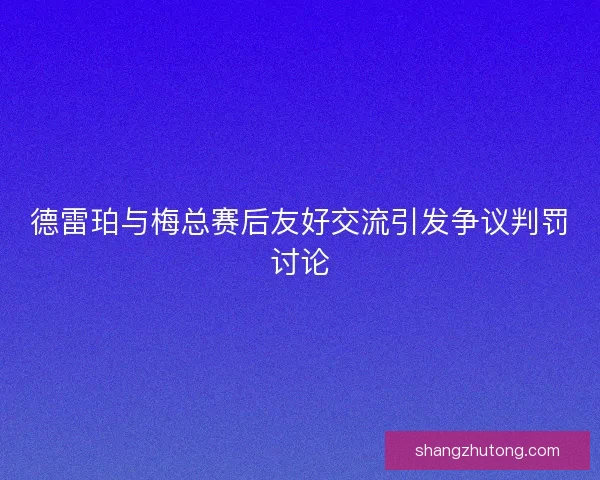 德雷珀与梅总赛后友好交流引发争议判罚讨论