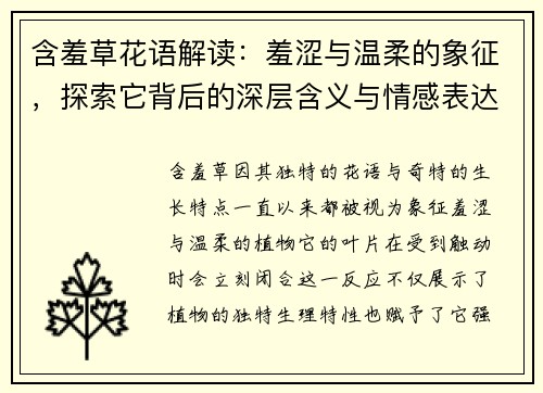含羞草花语解读：羞涩与温柔的象征，探索它背后的深层含义与情感表达